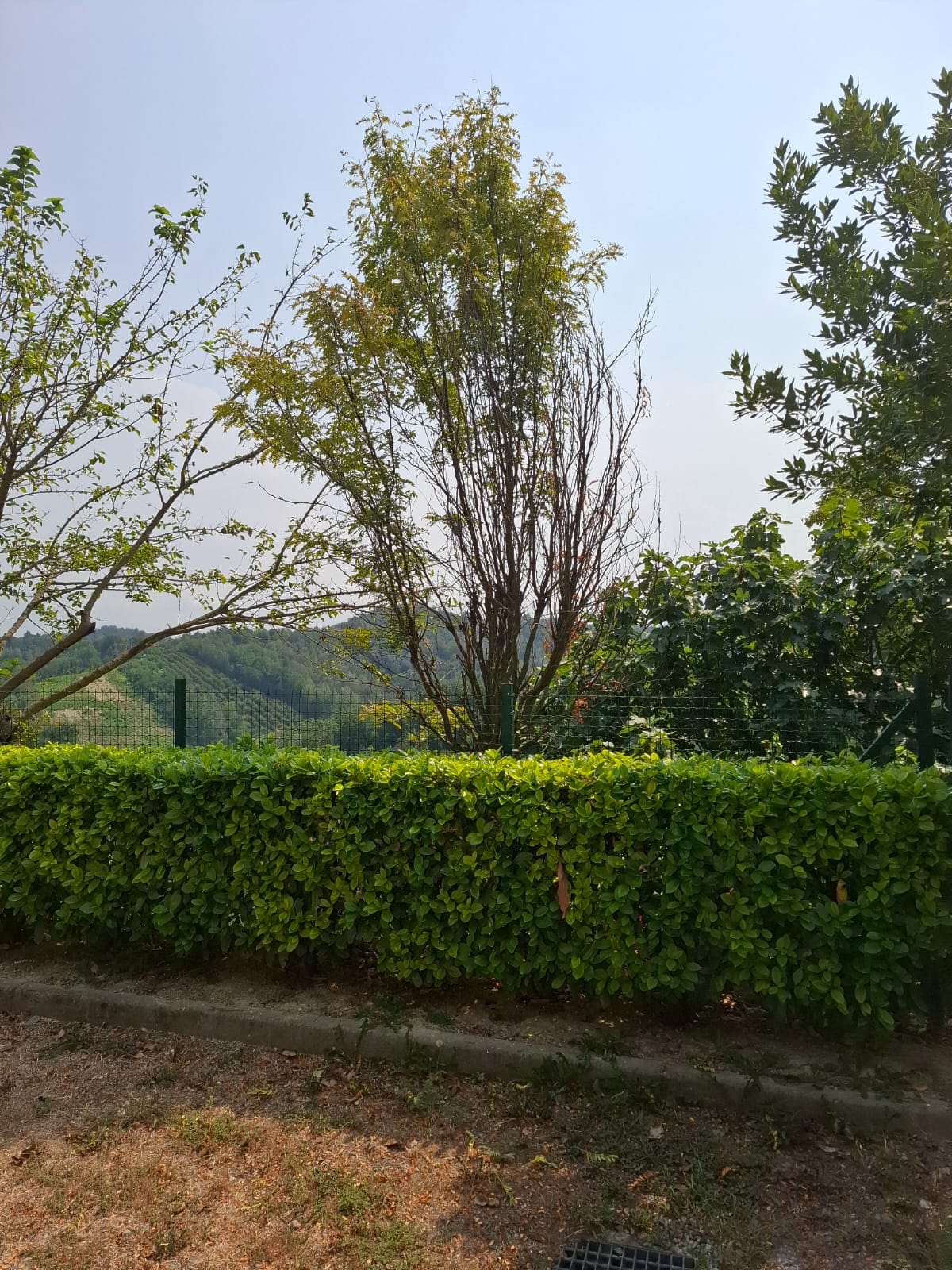 I Nostri Lavori